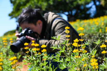 Taoyuan, Taiwan - FEB 23, 2020: A man is holding a camera while photographing perennial lupine flowers.