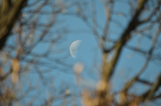 Lua nova, 12 horas para fase crescente, hemisf&eacute;rio sul, Brasil, 29 maio 2020 12:30