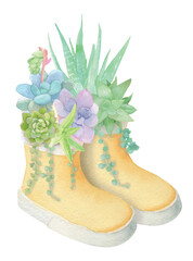Watercolor rubber boots with Succulent