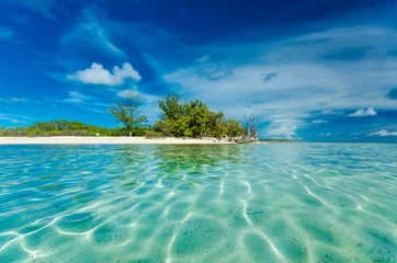 Foto op Plexiglas Clear waters of an islet in Bimini. Low Angle Shot. © Mdv Edwards