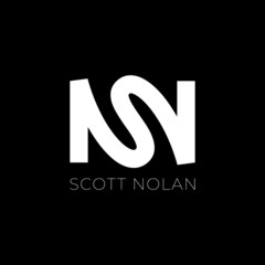 SN logo template vector illustration