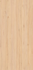 Fototapeta premium Nautral wood texture image background