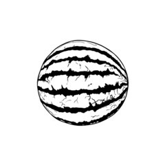 Watermelon. Black and white doodle cartoon, vector illustration.