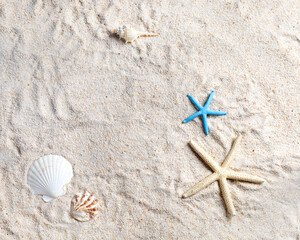 Sea concept background decorated with seashell starfish sand border frame