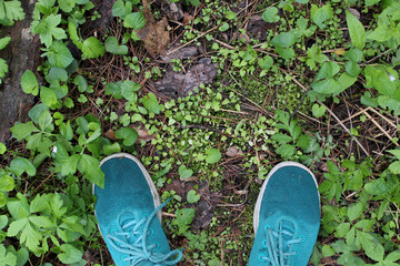 shoes on the grass