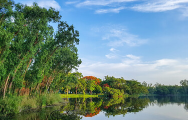Fototapeta premium lake and trees