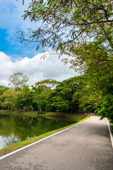 Asphalt black grey road landscape lake views at Ang Kaew Chiang Mai University in nature forest Mountain views spring blue sky background with white cloud.