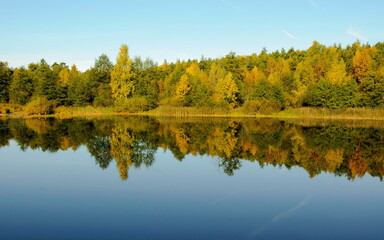 Fototapeta na wymiar Autumn trees are reflected in the water of a forest lake on a Sunny morning. Moscow region. Russia.