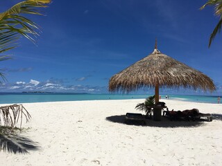 Maldives. The beauty of the Maldives Islands. Nature of the Maldives.