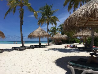 Maldives. The beauty of the Maldives Islands. Nature of the Maldives.