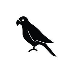 silhouette of a bird