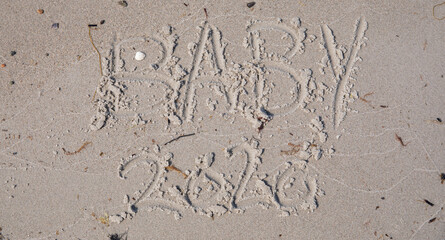 baby 2020 in the beach