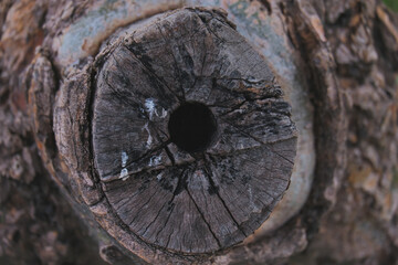 background covered by old tree bark of ocher and brown colors
