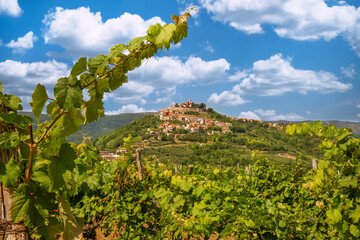 Scenic view to the town of Motovun, Istria, Croatia