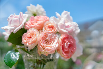 ピンクのバラの花束 青空バック