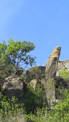 Spring flowers at foot of tall slim outcrop