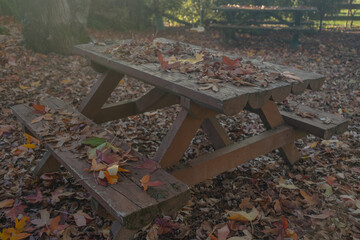 bench in autumn
