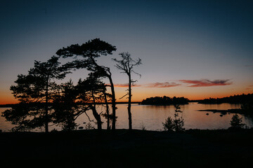 Susnet in Espoo