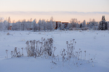 Snowy Lapland