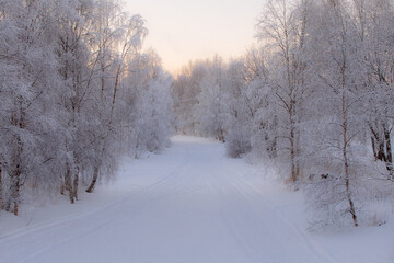 Snowy Lapland