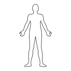 Human body line drawing, vector illustration