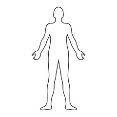 Human body line drawing, vector illustration
