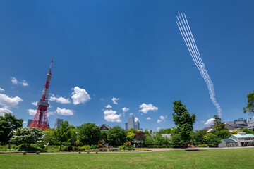 東京タワーとブルーインパルス