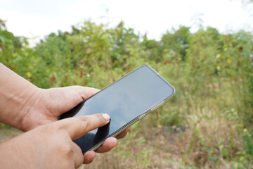 mobile phone in the park