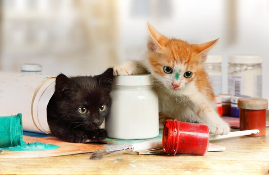 Two mischievous kittens played pranks on the artist's table