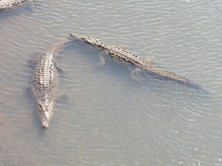 Tarcoles, Costa Rica