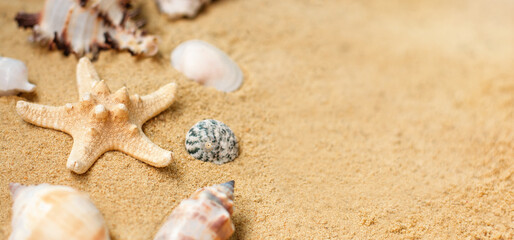 Fototapeta na wymiar Vacation memories from beach, seashell and starfish. Summer beach background travel concept. Banner.Copy space for text.