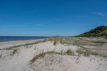 Fototapeta na wymiar The White Dune and Baltic see in spring in Jurmala, Latvia. Beach with white sand and blue sea/ocean. Beach with pine forest and green grass