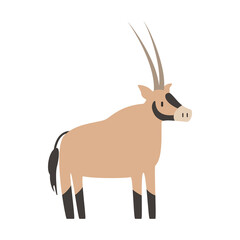 cute oryx animal vector