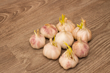 Bulb of garlic on wooden vintage background.