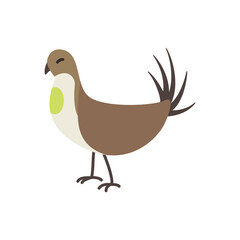 cute greater sage grouse animal vector