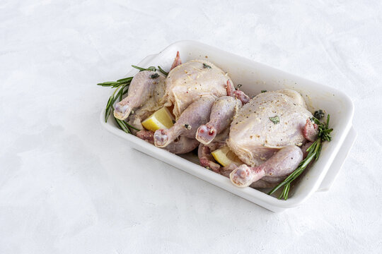 raw coquelet chickens prepared for roasting with vegetables and herbs