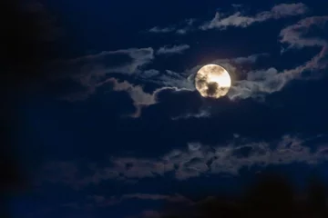 Photo sur Plexiglas Pleine Lune arbre Septembre (nuit de pleine lune)