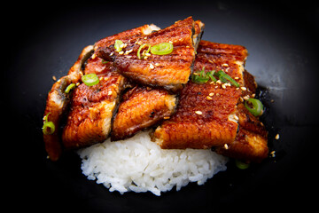 Japanese cuisine Unagi Kabayaki