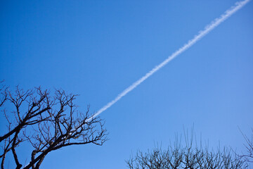 青空の中の飛行機雲	