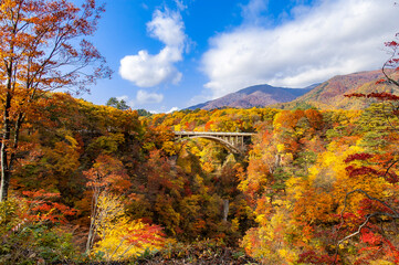 View of a bridge in crossing the Naruko Gorge near Sendai, Miyagi, Japan with trees with autumn color maple leaves all over the mountain in a sunny day