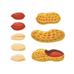 Colorful set of peanuts on a white background. Vector.