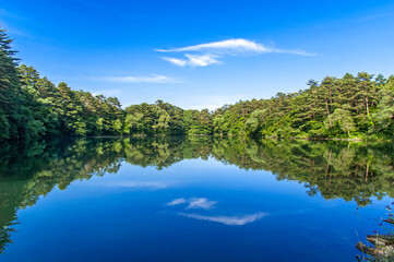 Fototapeta na wymiar A peaceful pond featuring mirror reflection on a clear day in Goshiki-numa (literally five-colour pond) in Bandai Kogen, Fukushima, Japan