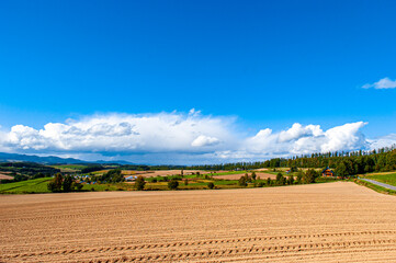 A cultivated farmland was just ploughed by tractor
