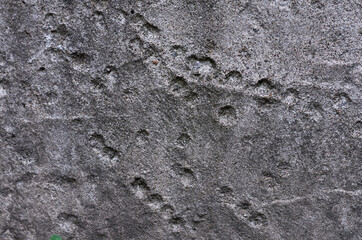 the texture of the concrete