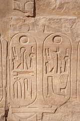 Hieroglyphic carvings on an ancient egyptian temple wall
