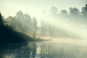 Fototapeta na wymiar foggy morning by the river