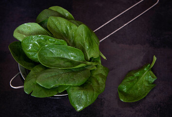 Fresh washed spinach in a colander on a black background