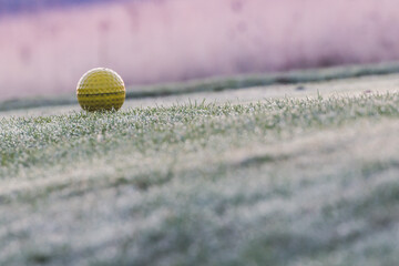 Golfball auf taufischer Morgen Wiesen