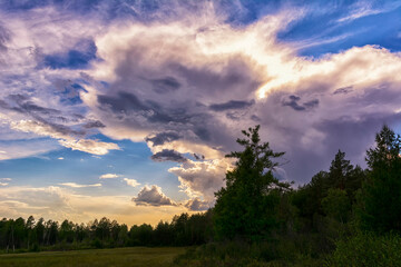 Fototapeta na wymiar Tree line with cumulus clouds.