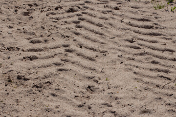 Tractor tire tracks in the sand
